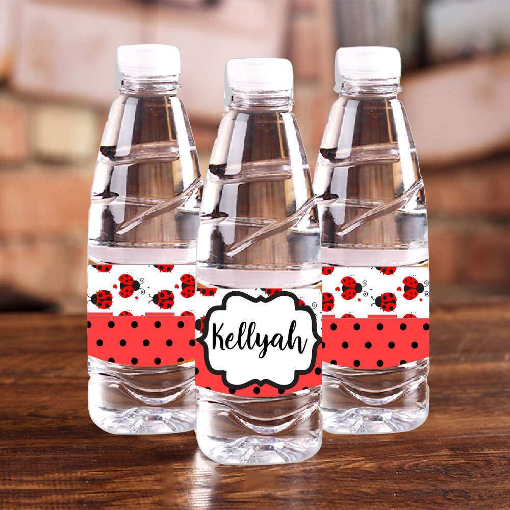 Personalised Ladybug Red Polka – Car Accessories Nearby recenzja i cena